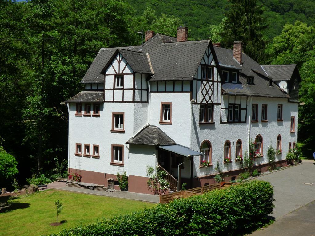 Wald Villa Üssbach Alf Exterior foto